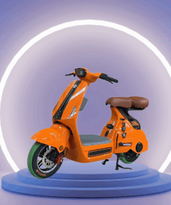 Xe Đạp Điện D1